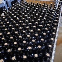 Nytappede vinflasker 2025 årgang