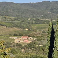 Castello Vicchiomaggio  utsikt vinmarker