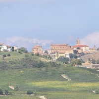 Vinmarker og vingård