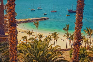 Alt du trenger å vite før du planlegger en tur til Gran Canaria