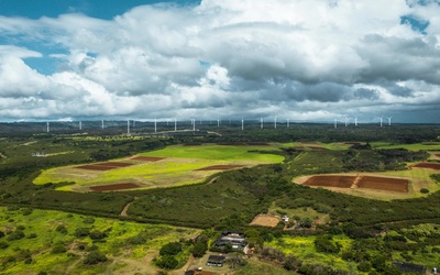 Steenberg Farm