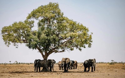 Botswana