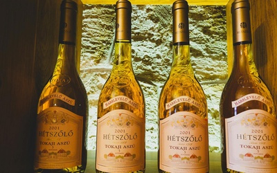 Vin og vindistrikter