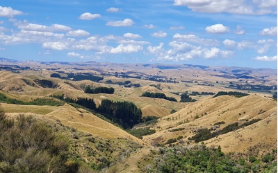 New Zealand