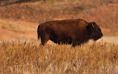 South Dakota