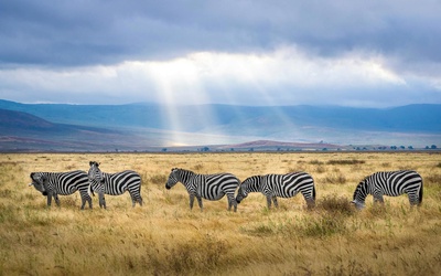 Tanzania