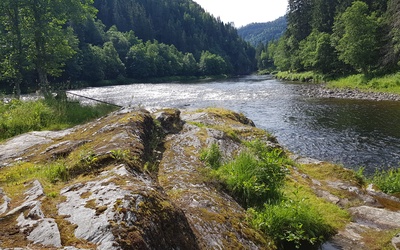Ry laksefiske og gjestegård