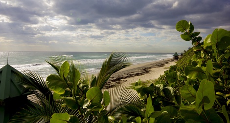 The Palm Beaches
