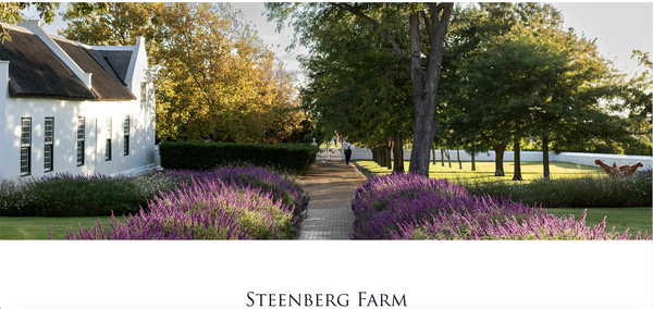 Steenberg Farm