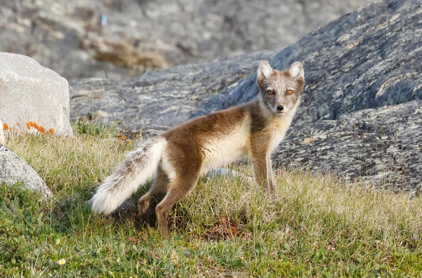 Nunavut