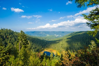 Northern Black Forest