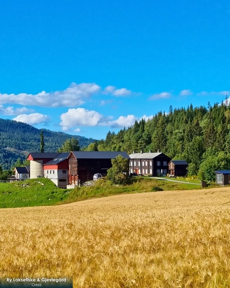 Fakta om Ry Laksefiske & Gjestegård